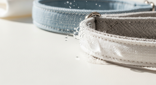 How to Wash a Dog Collar Safely: Pro Fabric Tips