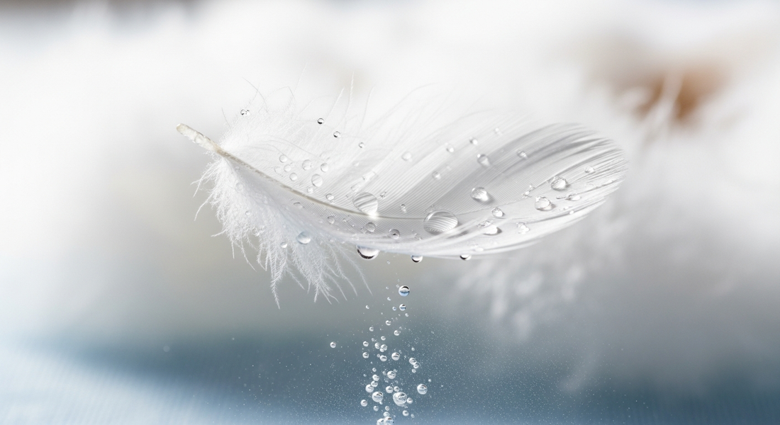 How to Wash Feathers Safely: Expert Cleaning Guide