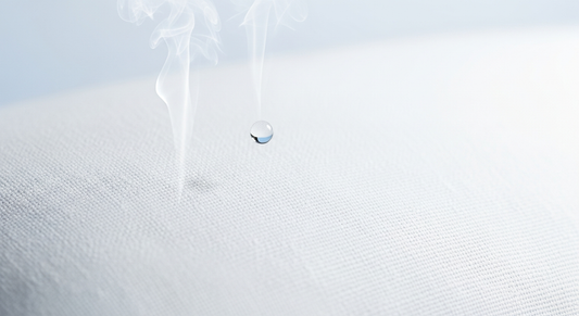 How to Wash Bed Bugs: Expert Sanitizing Guide
